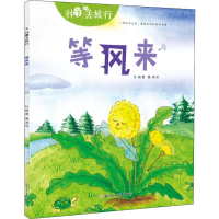 音像等风来杜梅