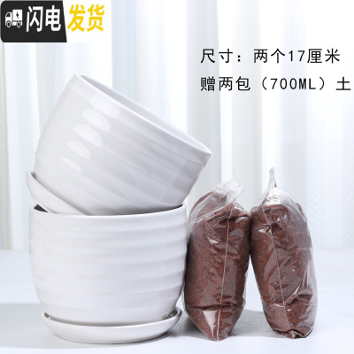 三维工匠花盆陶瓷带托盘一组两个大号盆带土简约家用绿萝多肉花盆 84015白两个大+土2包 大花盆容器