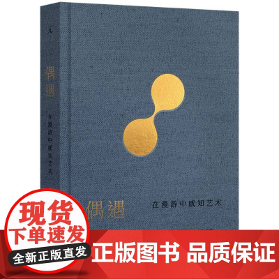 偶遇:在漫游中感知艺术 巫鸿 著 12组案例 艺术思考 谈论艺术 巫鸿与陆智昌倾力合作 纸书的另一种阅读方式 理想国