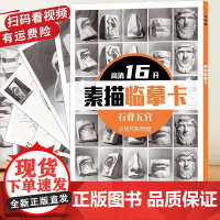 素描临摹卡 2023素描石膏五官临摹卡16开卡片高清创意石膏五官国美初级作品自学基础入门临摹范本教材教学美术绘画对照对画