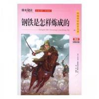 正版新书]钢铁是怎样炼成的[苏]尼古拉·奥斯特洛夫斯基978755803