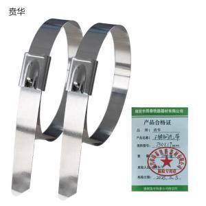 贲华 不锈钢扎带 750x19mm 条