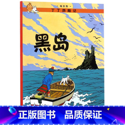 丁丁历险记:大16开 黑岛 [正版]丁丁历险记漫画全套22册 彩图16开大开本 埃尔热 丁丁在刚果 月球探险6-9-10