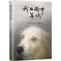 [M]我在雨中等你-9787544272681