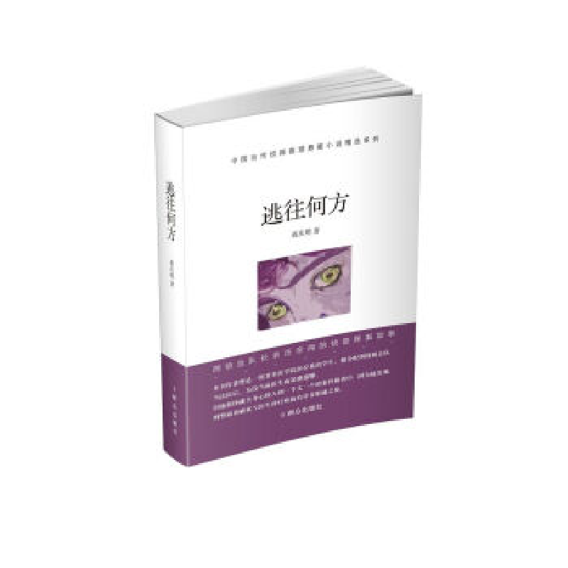 正版新书]逃往何方蒋庆明9787501459117