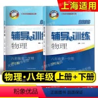 [正版]2022印次新思路辅导与训练 物理 八年级第一二学期/8年级上下册 全2册 第二版 与上海版配套上海科学技