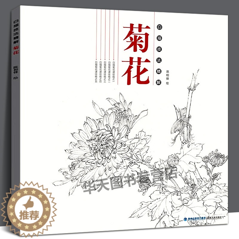 [醉染正版]菊花 白描技法精解 中国画动物花鸟工笔画底稿书 白描勾线画谱美术绘画初学者入门到精通基础教程 线描写生范例画