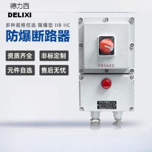 德力西(DELIXI) 防爆断路器2P/32A/带漏电(单位:个)