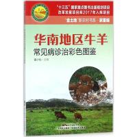正版新书]华南地区牛羊常见病诊治彩色图鉴翟少伦9787535969439