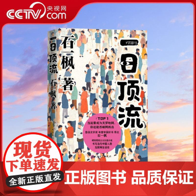 [央视网]一日顶流 鲁迅文学奖年度中国好书得主石一枫长篇小说新作 以硬核现实主义 书写当代中国人的互联网生活史WX