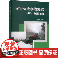矿井火灾事故处置——矿山救援队视角书曾凡付 工业技术书籍