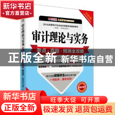 正版 审计理论与实务考点·真题·预测全攻略 欧阳华生主编 中国经