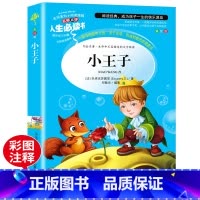 [正版]小王子书 圣埃克苏佩里/著小学生课外阅读书籍三四五六年级必读名师指导经典书目青少年读物儿童文学名著故事书原著完
