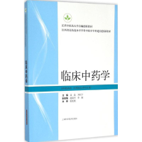 音像临床学聂晶,刘红宁 主编
