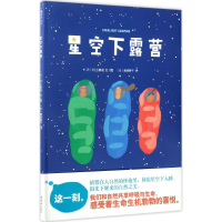 醉染图书星空下露营9787505633414