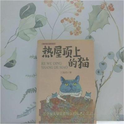 正版新书]热屋顶上的猫:三个女大学生在特区的私人经历王海玲