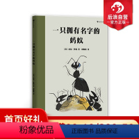 [正版]后浪 一只拥有名字的蚂蚁 绘本大师托尼罗斯著作 启发孩子成为能够独立思考的人 6岁以上儿童绘本书籍 浪花朵