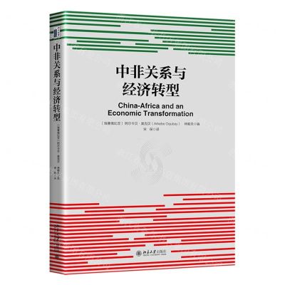 [N]中非关系与经济转型(精)-9787301332733