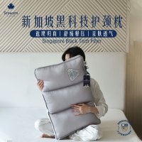 高档五星级酒店枕头可水洗护颈椎助睡眠不塌陷家用枕芯不变形超柔