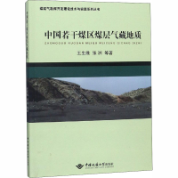 音像中国若干煤区煤层气藏地质王生维,张洲 等