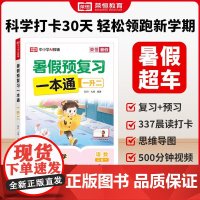 [荣恒]2025新版暑假预复习一本通暑假衔接一二三四五六年级下册暑假作业一升二升三升四升五升六升七人教苏教北师大版练习册