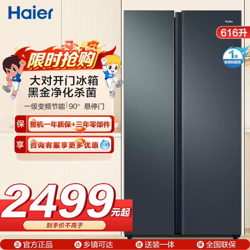 海尔(Haier)616升对开门超薄嵌入冰箱 鲸式储量 黑金净化 双变频一级能效 BCD-616WGHSSEDC9