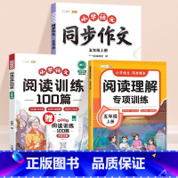 [全3册]阅读理解+同步作文+真题100篇 五年级上 [正版]2024新版五年级语文阅读理解专项训练书小学人教版课外强化