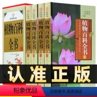 [正版]精装图文珍藏版全4册植物百科全书青少年版植物百科书籍学生可看课外科普百科国学套装植物百科全书成人
