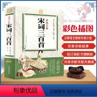 [正版]彩色印刷 318首完整无删减318首 原文+注释+译文+赏析 宋词三百首全集 初中生高中生成人版