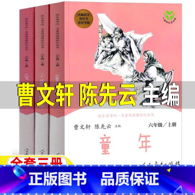 [正版]童年书小英雄雨来爱的教育人民教育出版社曹文轩陈先云编六年级上册全套必读人教版快乐读书吧青少年小学生课外书管桦著