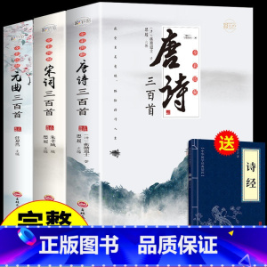 全三册唐诗+宋词+元曲三百首[完整版] [正版]唐诗三百首全集 中国古诗词大全 小学生高中初中生九年级必读书籍宋词唐诗3
