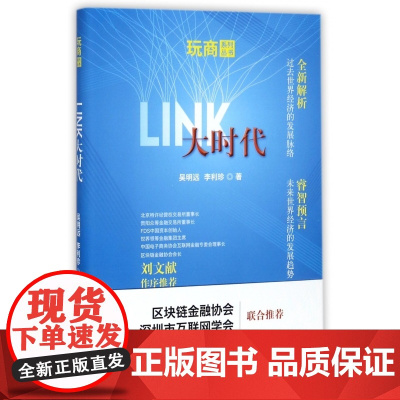 LINK大时代/玩商系列丛书