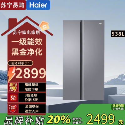 海尔(Haier)对开门冰箱538L大容量家用一级双变频风冷无霜黑金净化精细分储 BCD-538WGHSSEDSH