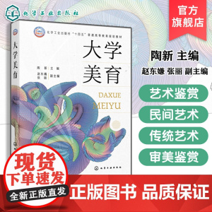 大学美育 陶新 美育基本理论 各类艺术形式审美鉴赏 艺术鉴赏实例 传统艺术民间艺术红色文化美育素养类课程通识性教材
