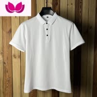 七斓夏季保罗polo衫短袖男宽松设计感男装潮夏季纯色净版翻领珠地t恤
