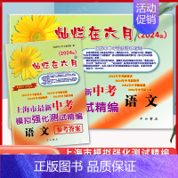 中考模拟精编[语文](试卷+答案) 九年级/初中三年级 [正版]2024灿烂在六月上海中考真卷全套语文数学英语物理化学