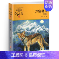 刀疤豺母 [正版]沈石溪动物小说大王品藏书系全集十大经典狼王梦后一头战象狼国女王斑羚飞渡红飘带狮王第七条猎狗白象家族精品
