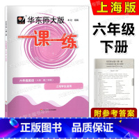 英语 六年级下 [正版]2023华东师大版 一课一练 英语N版 六年级第二学期/6年级下 上海版配套教辅课后作业 课后