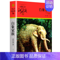 白象家族 [正版]沈石溪动物小说品藏书系列全集36册狼王梦斑羚飞渡后一头战象雪豹悲歌混血豺王第七条猎狗十大经典阅读必书目