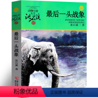 最后一头战象 [正版]后一头战象沈石溪动物小说精品集系列儿童文学小学生课外书长篇单本作品全集珍藏版品藏书系大王升级版三四