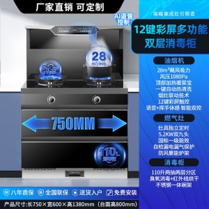 旺厨好太太 750MM小尺寸集成灶 自动清洗侧吸 油烟机燃气灶消毒柜家用烟灶消一体 新款智控语音下排式烟机一体灶 液化气