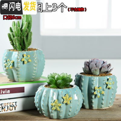 三维工匠多肉简约陶瓷绿植塑料创意紫砂复古粗陶多肉植物小花盆批发 仙人掌图上3个 小花盆容器