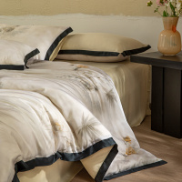 夏季轻奢高级感莱赛尔天丝四件套凉感冰丝滑可被套床单三件套