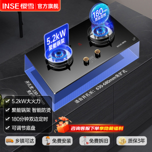 樱雪(INSE)燃气灶双灶 5.2KW煤气灶天然气灶嵌入式台式·灶台家用定时燃气灶炉具Q2327B