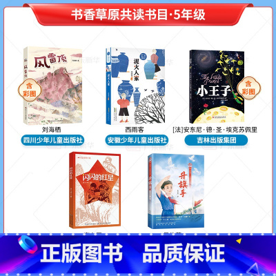 [全5册]五年级阅读 [正版]2024内蒙古书香草原共读打卡五年级课外书全5册 泥火人家 风雷顶 升旗手 小王子 闪闪的