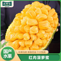 [苏鲜生]海南红肉菠萝蜜 新鲜水果 香甜可口 1个 净重6-8斤装 西沛水果