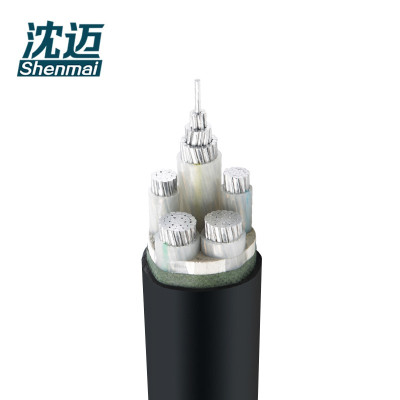 沈迈 铝芯电缆 ZC-YJLV-0.6/1KV-3*25+1*16mm²/米