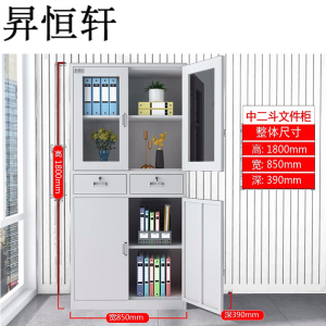 昇恒轩 中二斗文件柜办公室档案资料财务凭证更衣储物铁柜矮柜柜子 SHX-0422 个(钢板厚度 0.7mm )