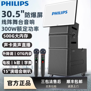 飞利浦SD809专业舞台音响套装15寸户外 大功率型演出婚庆线阵音箱唱歌音响