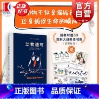 跟菲利大叔学手绘:动物速写 [正版]动物速写 跟菲利大叔学手绘德菲利克斯沙因伯格上海人民美术出版社素描绘画基础艺术水彩动